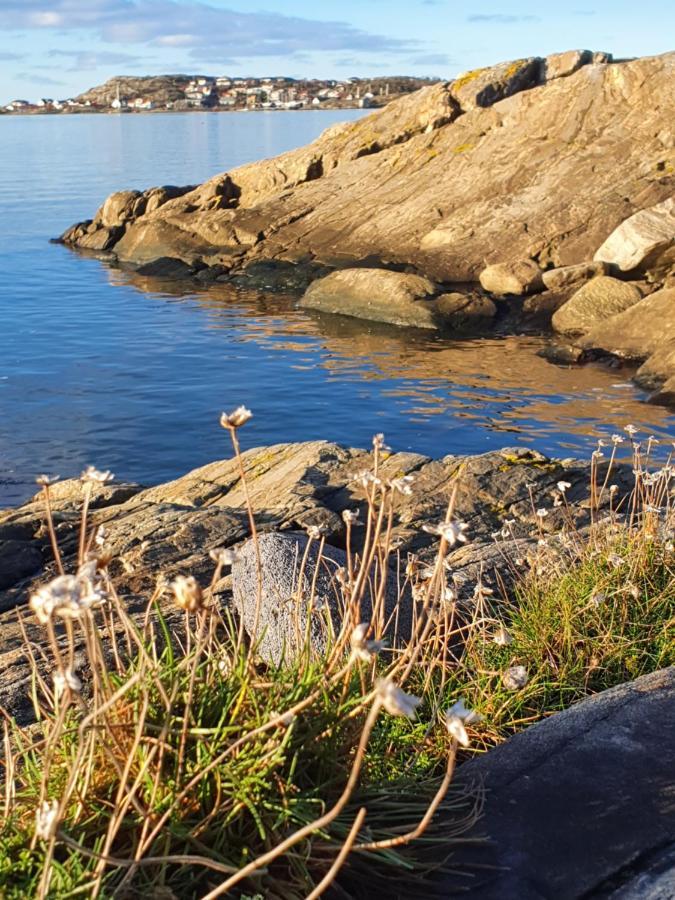 Skaergardsidyll Pa Bjoerkoe Med Gangavstand Till Havet Skarvik Екстер'єр фото